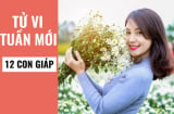 Tử vi tuần mới ( từ ngày 9/9 - 15/9/2019) của 12 con giáp: Hợi hung cát tiềm ẩn, Sửu gặp được Thực thần