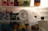 Ngay tối nay hãy đặt cuộn giấy vệ sinh vào tủ lạnh, ngủ dậy bạn sẽ giật mình khi thấy kết quả