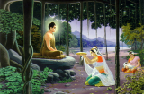 Vì sao lễ vật của Hoàng hậu không bằng muối của người nghèo? Ý nghĩa thực sự của thờ cúng Phật Pháp
