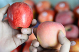 'Dân buôn' hoa quả tiết lộ cách phân biệt táo Mỹ và táo Trung Quốc đơn giản nhất