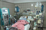 Thực hư 'virus lạ gây viêm cơ tim' chết người ở Hà Nội khiến người dân hoang mang