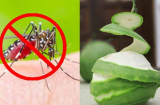 5 cách đuổi muỗi an toàn phòng dịch sốt xuất huyết, nhà có trẻ nhỏ nên dùng