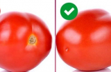 Muốn cà chua tươi lâu trong tủ lạnh, hãy áp dụng phương pháp đơn giản này