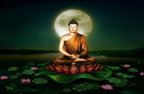 Phật dạy: Một lần tha thứ là một lần tạo phúc, bao dung càng lớn phúc báo càng nhiều