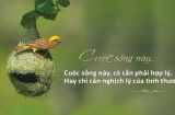 Đời người có 4 cảnh giới khó đạt đến, nhưng một khi đã vượt qua thì cuộc đời an yên tự tại