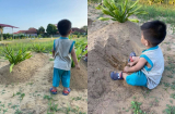 Cậu bé 2 tuổi ngồi nghịch cát trước mộ bố mẹ rồi liên tục gọi 'mẹ ơi' khiến bao người xót lòng