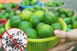 Bí quyết đuổi cả đàn kiến ra khỏi nhà, một đi không quay trở lại