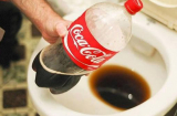 Đổ coca vào bồn cầu, tưởng phí của nhưng kết quả làm cả nhà ngạc nhiên