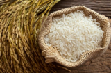 Cách chọn gạo hàng cực phẩm thơm ngon, mềm dẻo ai cũng thích