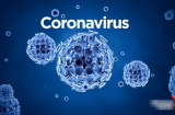 Phát hiện mới về khoảng thời gian virus corona chủng mới dễ lây lan nhất