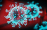 Virus corona tiếp tục đột biến, hiện đã có 8 biến thể trên toàn cầu