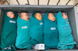 5 em bé chào đời trong bệnh viện cách ly mùa dịch Covid-19