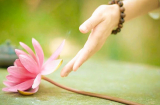 Phật dạy: Muốn hạnh phúc, hãy buông bỏ 2 điều