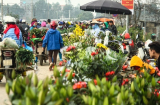 Thông báo khẩn của Bộ Y tế: Tìm người đã đến chợ hoa Mê Linh từ ngày 20/3 đến nay