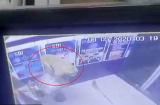 Cây ATM bất ngờ bị phá tung, cảnh sát kiểm tra camera an ninh thì phát hiện thủ phạm khó ngờ