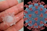 Xuất hiện những viên mưa đá có hình virus corona kì lạ