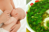 Những loại rau giàu vitamin giúp mẹ sau sau sinh tẩm bổ, nhuận tràng lại lợi sữa cho con