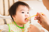 3 nguyên tắc khi cho bé ăn dặm kiểu Nhật, bà mẹ nào cũng nên biết