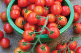 Bỏ túi công thức 'chữa bệnh' từ cà chua, hiệu quả hơn cả thuốc