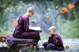 Phật dạy: Sống trên đời chỉ cần buông bỏ được 5 thứ, cuộc đời sẽ thuận lợi an nhiên