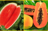 5 loại hoa quả càng để trong tủ lạnh càng nhanh hỏng, biến chất, ăn vào coi chừng ngộ độc