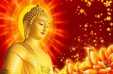 Phật dạy: Loại bỏ 6 điều 'không' để trở thành người thông thái, không phiền não, nhớ đọc kỹ điều số 4