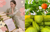 Ngắm biệt thự rộng lớn, vườn rau ăn không xuể của 'Hoa hậu một con bí ẩn nhất Việt Nam'