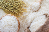 3 loại gạo chứa chất 'kịch độc', trắng thơm đến mấy cũng không được mua