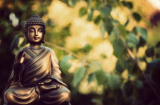 Phật dạy: Người đâu phải vì mềm yếu nên mới chọn lương thiện
