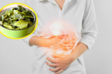 Những thực phẩm gây hại dạ dày và đường ruột được WHO cảnh báo, số 3 cực kỳ nguy hại