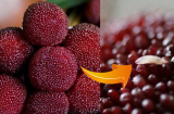 5 loại trái cây chứa nhiều ký sinh trùng, không rửa sạch trước khi ăn là 'rước họa'