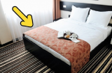 Khách sạn nào cũng có 1 chiếc khăn trải ngang giường, 99% không ai biết tác dụng