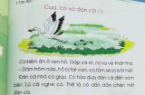 Liên tiếp phát hiện 'sạn' trong nội dung của SGK lớp 1 gây tranh cãi