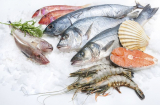 Chuyên gia dinh dưỡng chia sẻ: Sai lầm khi cho trẻ ăn hải sản dễ gây hại sức khỏe