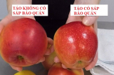 Mua táo trong siêu thị hãy tránh xa 5 loại, rẻ mấy cũng đừng ham: Vừa phí tiền lại không tốt cho cả nhà