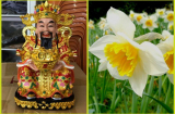 Ngày Tết: 5 loại hoa 'Thần Tài' nên đặt trên bàn thờ, để năm mới tài lộc đổ về như vũ bão