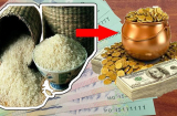 Đầu năm thay đổi phong thủy cho thùng gạo, tiền vàng chảy vào nhà, gia chủ làm gì cũng phát tài giàu có
