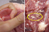 4 loại thịt lợn dù rẻ như cho cũng không nên mua kẻo ăn vào ngộ độc