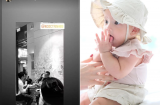 Showbiz 4/5: Ngọc Trinh lộ ảnh hôn Vũ Khắc Tiệp, con gái Hà Hồ cưng 'muốn xỉu' trong hình ảnh tròn 6 tháng tuổi