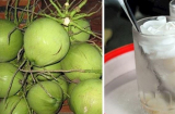 Người Việt may mắn vì được uống nước dừa giá rẻ: Lọc sạch thận, tốt cho nội tiết, ngăn ngừa lão hóa