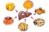 Chuyên gia dinh dưỡng nhắc nhở: 'Ba ngọt' hại gan nên tránh, 'hai đắng' dưỡng gan nên ăn