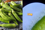 Kết quả kinh ngạc khi soi quả đậu bắp dưới kính hiển vi, 4 đối tượng không nên ăn kẻo gây hại