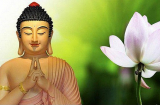 20 lời Phật dạy về việc ăn nói, nhiều người không biết dễ phạm lỗi khiến gia tăng vận xui