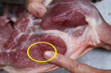 Thịt lợn có 4 dấu hiệu này dù rẻ mấy cũng đừng mua, ăn vào sinh bệnh hại thân
