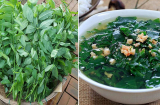3 sai lầm tai hại khi ăn rau ngót gây hại cho cơ thể, nhiều người Việt không biết mà tránh