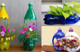 20 ý tưởng trồng hoa, trồng rau từ chai nhựa bỏ đi vừa đẹp, vừa độc đáo thay đổi diện mạo cả căn nhà