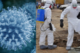 Covid-19 chưa qua, WHO lại phải đưa ra khuyến cáo về một loại virus khác, nguy hiểm giống Ebola