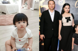 Showbiz 22/8: Con gái Đông Nhi đã biết 'dọn nhà' hộ bố mẹ, Phạm Quỳnh Anh bỗng có động thái dành cho chồng cũ