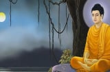 Phật dạy: Con người ai cũng có một ''con bò'', càng lo âu sợ mất thì khó mà an nhiên