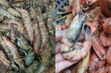 Loại hải sản chứa nhiều kim loại nặng và ký sinh trùng: Nhiều người không biết vẫn thích ăn